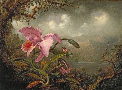 ₴ Картина натюрморт известного художника от 199 грн.: Орхидея и колибри