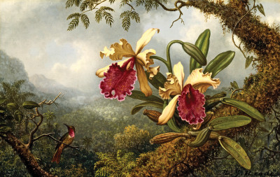 ₴ Картина натюрморт известного художника от 174 грн.: Орхидеи и колибри