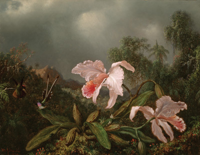 ₴ Картина натюрморт известного художника от 209 грн.: Орхидеи в джунглях и колибри