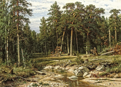 ₴ Картина пейзаж известного художника от 194 грн: Мачтовый сосновый лес в Вятской губернии