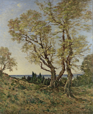 ₴ Картина пейзаж художника від 245 грн.: Оливкові дерева в Ментоне