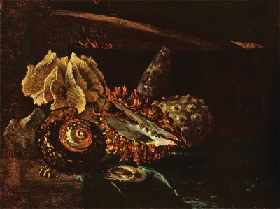 ₴ Картина натюрморт відомого художника від 241 грн.: Натюрморт з черепашками і коралом
