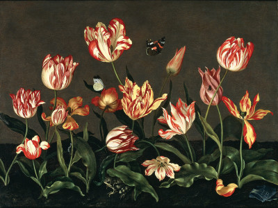 ₴ Репродукція натюрморт від 317 грн.: Натюрморт з тюльпанами
