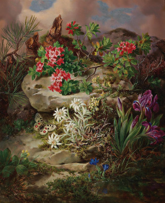 ₴ Репродукция натюрморт от 282 грн.: Альпийские цветы с бабочкой