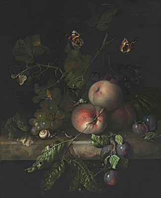 ₴ Репродукция цветочный натюрморт "Персики, виноград и сливы со стрекозой, улиткой, гусеницей, мотыльками и другими насекомыми на каменном выступе"