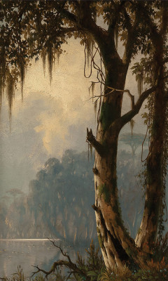 ₴ Репродукция пейзаж "Пейзаж Луизианы"