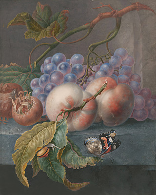 ₴ Репродукция натюрморт "Фрукты с бабочкой и улиткой"