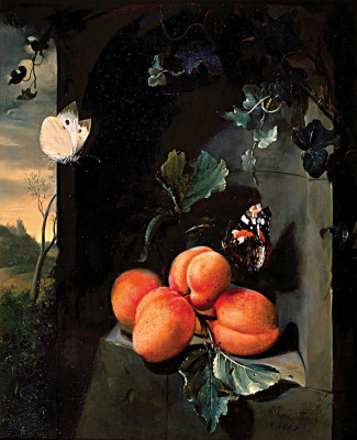 ₴ Репродукция натюрморт художника "Абрикосы и бабочки"