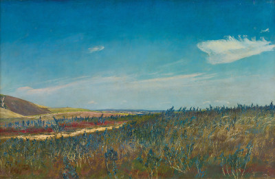 ₴ Репродукция пейзажа "Вид возле Карббайкминде в Северной Зеландии"