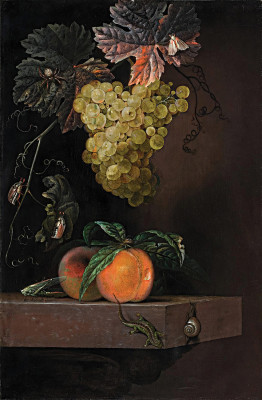 ₴ Репродукция натюрморт "Натюрморт с фруктами, ящерицей и насекомыми"