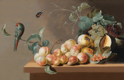 ₴ Репродукция натюрморт "Фрукты на столешнице с попугаем"