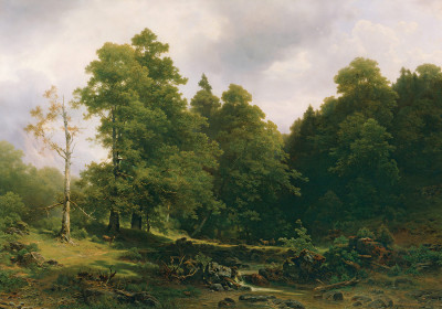 ₴ Репродукція краєвид "Тихий куточок лісу"